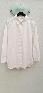 Xandres wit katoenen hemd, Kleding | Dames, Blouses en Tunieken, Ophalen of Verzenden, Nieuw, Maat 42/44 (L), Wit