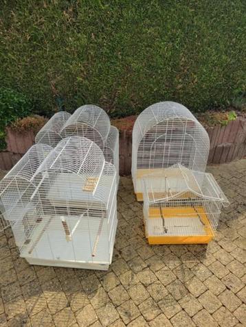 set van 4 vogelkooien om te renoveren beschikbaar voor biedingen