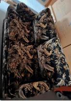 #sofa #vintage #uniek #model, Ophalen