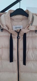 Bodywarmer Esprit nieuw S, Beige, Nieuw, Ophalen of Verzenden, Maat 36 (S)