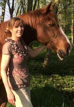 Ruiter buddy gezocht, Dieren en Toebehoren, Weidegang, 1 paard of pony