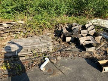 Hout gratis beschikbaar voor biedingen