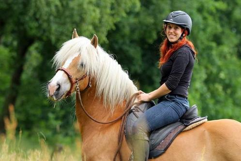 Verzorger gezocht, Animaux & Accessoires, Chevaux, Hongre, Ne s'applique pas, Moins de 160 cm, 11 ans ou plus, Cheval de récréation