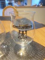 TE KOOP DUVELGLAS  HOPDUVELFEESTEN ASSE 2010, Verzamelen, Glas en Drinkglazen, Ophalen of Verzenden, Zo goed als nieuw