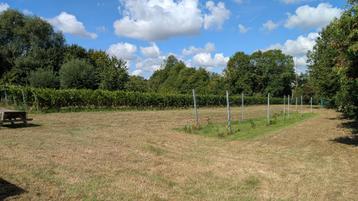 Petit vignoble bio à Sombreffe beschikbaar voor biedingen