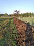 gratis gecomposteerde paardenmest, Tuin en Terras, Aarde en Mest, Ophalen, Compost