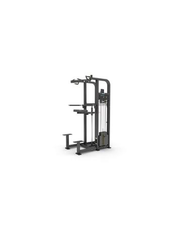P11 | Gymfit Assist Chin / Dip | Custom-Line Plus beschikbaar voor biedingen