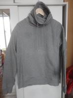 heren trui, Kleding | Heren, Truien en Vesten, Maat 52/54 (L), Ophalen of Verzenden, Zo goed als nieuw, Grijs