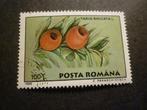 Roemenië/Roumanie 1995 Mi 5130(o) Gestempeld/Oblitéré, Postzegels en Munten, Ophalen of Verzenden