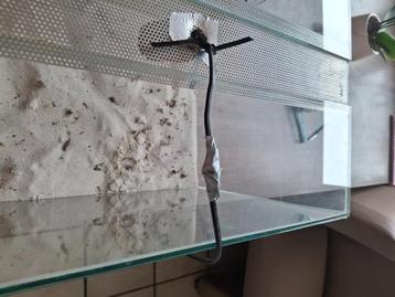 Terrarium voor middelgrote reptielen en amfobieeën beschikbaar voor biedingen