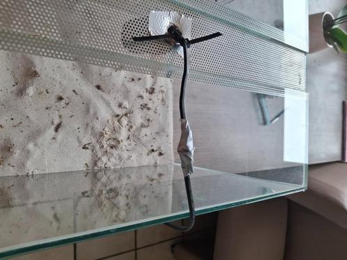 Terrarium voor middelgrote reptielen en amfobieeën, Dieren en Toebehoren, Reptielen en Amfibieën | Toebehoren, Gebruikt, Terrarium of Paludarium
