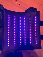 Equine LTS leds, Dieren en Toebehoren, Ophalen