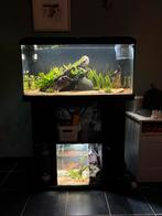 Aquarium 6 maanden oud, Ophalen, Zo goed als nieuw