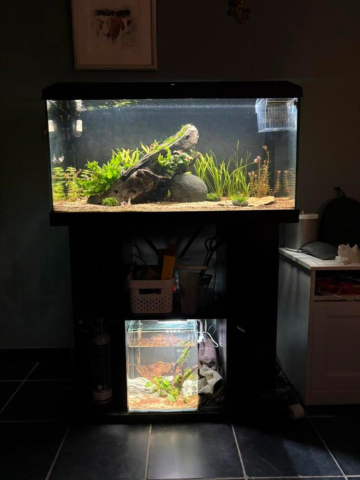 Aquarium 6 maanden oud, Animaux & Accessoires, Poissons | Aquariums & Accessoires, Comme neuf, Enlèvement