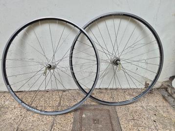 Roues Selcof Ambrosio DT Swiss beschikbaar voor biedingen