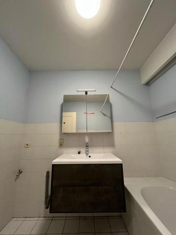 Badkamermeubel met pombak en spiegels beschikbaar voor biedingen