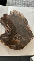 Bois fossile polie d’un côté Madagascar, Collections, Minéraux & Fossiles, Fossile