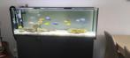 Aquarium, Dieren en Toebehoren, Ophalen, Zo goed als nieuw, Gevuld zoetwateraquarium