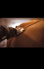 Scheren van paarden & pony’s