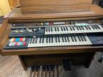 Hammond orgel, Muziek en Instrumenten, Orgels, Gebruikt, Ophalen, Orgel