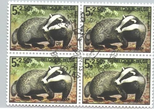 1974 Blaireau, Envoi