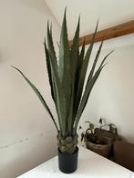 Kunstplant, Ophalen of Verzenden, Zo goed als nieuw, Binnen