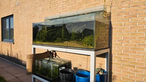 Grote aquarium 400L a 450L, Dieren en Toebehoren, Vissen | Aquaria en Toebehoren, Zo goed als nieuw, Ophalen