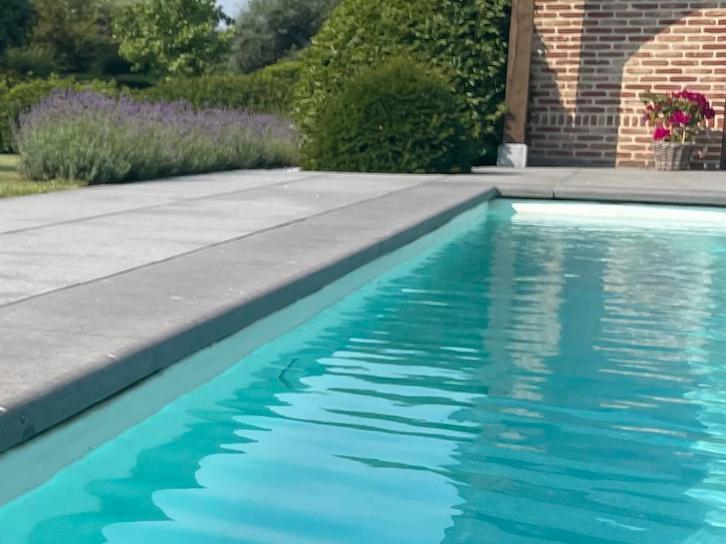 Boordstenen zwembad 9x4 - Belgische blauwe hardsteen, Tuin en Terras, Tegels en Klinkers, Ophalen