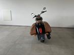 Indian Scout 1133, 2 cilinders, Chopper, Bedrijf, Meer dan 35 kW