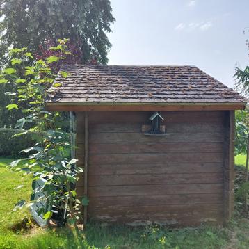 Chalet de jardin à demonter et à emporter, 200 à 400 cm, 250 à 300 cm, 2 fenêtres, Enlèvement