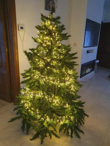 Kerstboom 1m80 beschikbaar voor biedingen