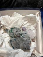 eam babies conure molinea violet double factor