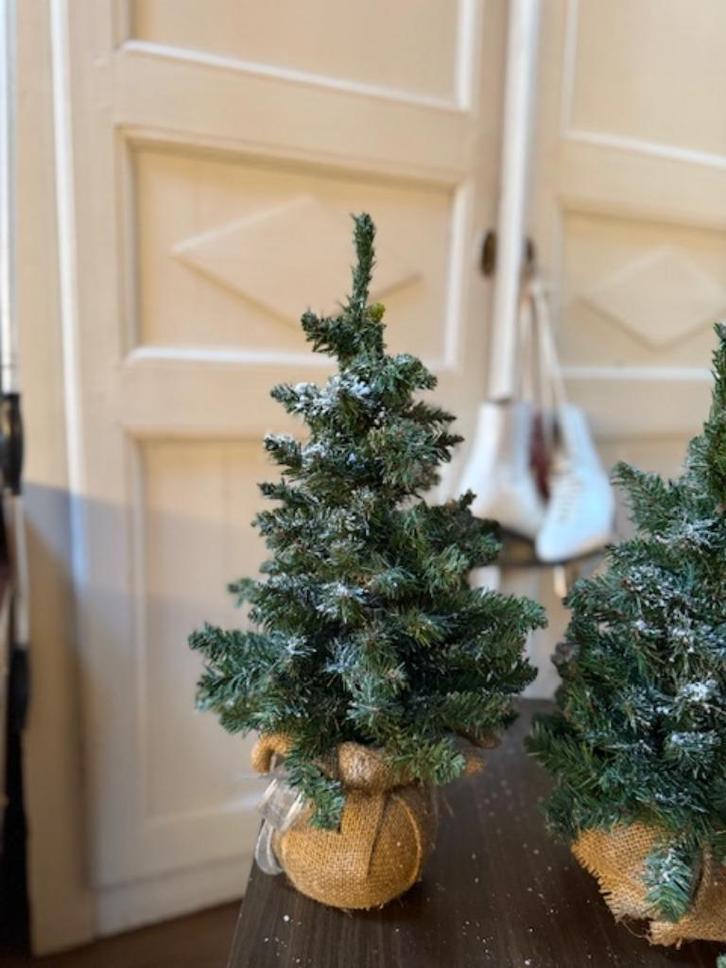 mini kerstboompjes (tafelmodel), Diversen, Kerst, Gebruikt, Ophalen