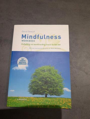 Mindfulness boek