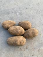 Aardappelen Bintje (Friet), Ophalen