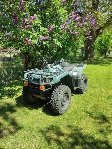 Quad Yamaha, Motoren, 350 cc