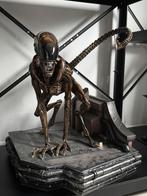 Dog Alien - Prime 1 Studio, Ophalen, Zo goed als nieuw, Film, Beeldje, Replica of Model