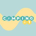 Rock Werchter - A1 regular camping - 2 tickets, Tickets en Kaartjes, Concerten | Rock en Metal, Drie personen of meer