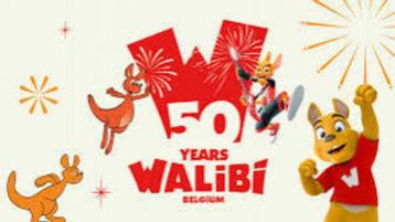 Billet 50 ans pour Walibi Belgium : Nouvelle zone (2p.), Tickets & Billets, Deux personnes, Ticket ou Carte d'accès