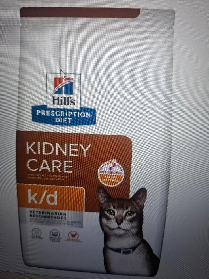 Croquettes Hill's Prescription Diet Kidney Care pour chat, Animaux & Accessoires, Nourriture pour Animaux, Chat, Enlèvement