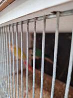 kweekkooien en pyhura, Dieren en Toebehoren