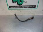 Sonde lambda d'un Lancia Musa, -, 3 mois de garantie, Utilisé, -
