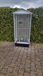 Cage à oiseaux, Enlèvement