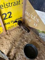 Koppel loopeenden, Dieren en Toebehoren, Meerdere dieren, Eend