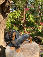 Image teckel, teckel, chien, jardin, pelouse 30 cm, Enlèvement ou Envoi, Neuf, Synthétique, Animal