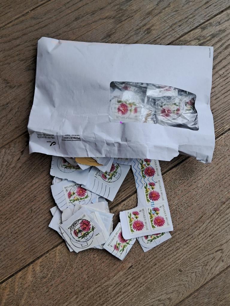 Lot Belgiqche postzegels met Dahlia's, allemaal dezelfde, Ophalen of Verzenden