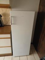 frigo, Ophalen, 200 liter of meer, 140 tot 160 cm, Zonder vriesvak