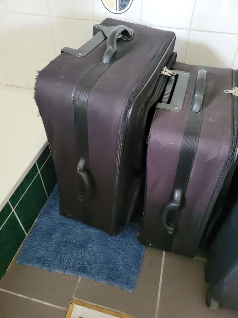 grote valiezen, Enlèvement