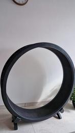 Kattenwiel One Fast Cat, Ophalen