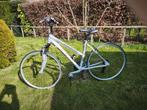Sportieve Minerva damesfiets, 26 inch, Zo goed als nieuw, Ophalen, Overige merken